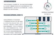 企业出海 - 中东北非电商购物行为调查报告（数据来源：P
