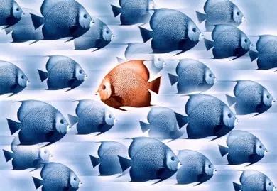 企业出海 - 【GGVoice】全球化是时代给予你的最大机遇