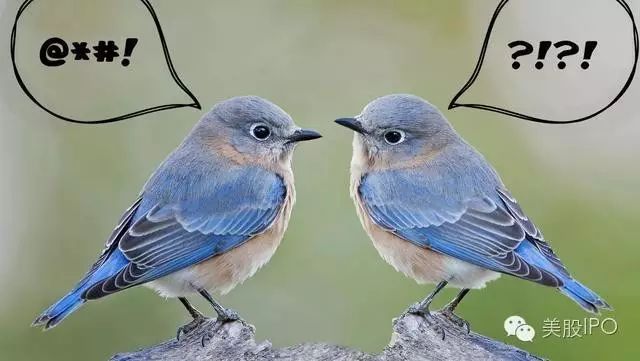 企业出海 - 谁会最终吞下Twitter？我们列出了所有可能的买家