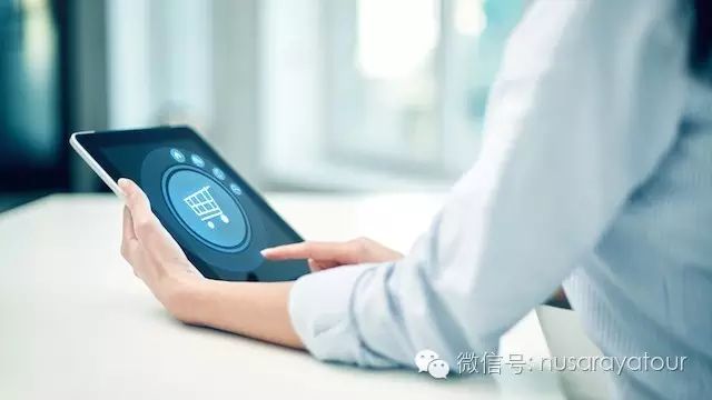 企业出海 - 调查| 印尼在线消费者行为报告