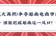 企业出海 - 越南电商市场七零八落 各大集团强势进驻