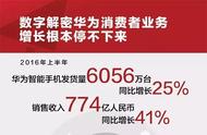 企业出海 - 半年智能手机发货6056万台，一张图看华为消费者