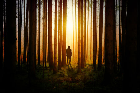 企业出海 - 一山不容二虎，印度电商挡得住亚马逊？