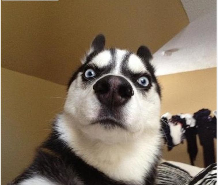 企业出海 - FB印度主管蕾蒂被调回美国