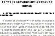 企业出海 - 中兴通讯控股子公司上海中兴拟申请在新三板上