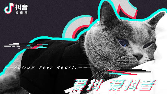 产品推广 - 为什么抖音账号会被评级？抖音评级怎么申诉？