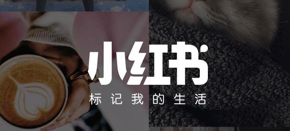 产品推广 - 小红书发笔记怎么才能被收录？小红书文章收录