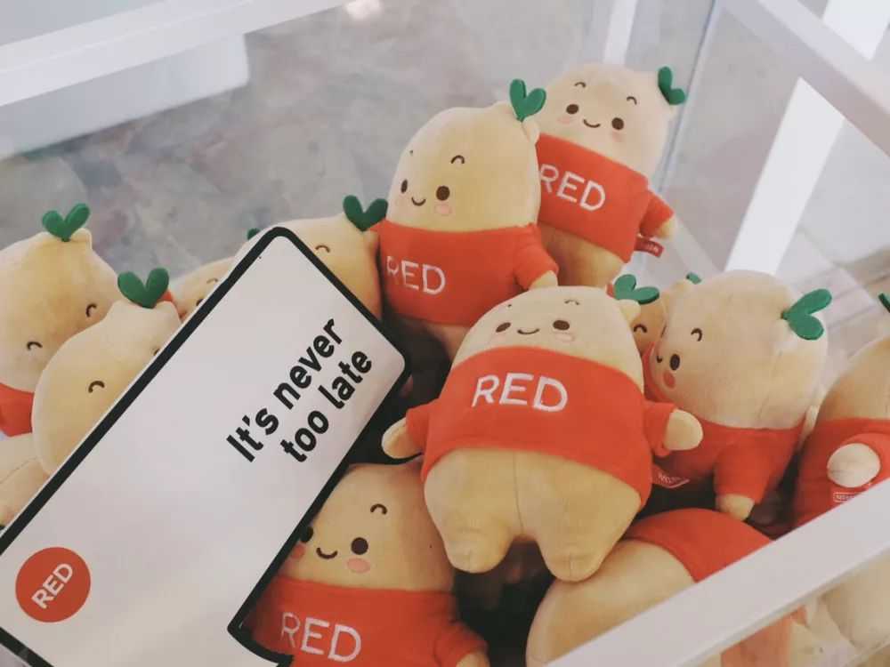 产品推广 - 小红书推广的投放方式，小红书推广营销方式