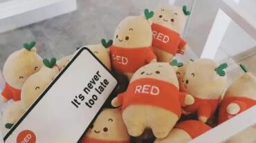 产品推广 - 小红书发什么内容吸粉？小红书涨粉秘诀