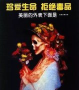 经典广告语 - 禁毒公益口号-经典用语大全