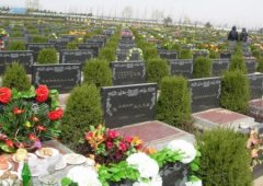 经典广告语 - 公墓宣传用语-经典用语大全