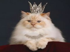 经典广告语 - 女生月女生部宣传标语-经典用语大全