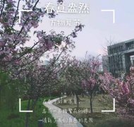 经典广告语 - “牵手文明，青春校园”文明图片标语-经典用语